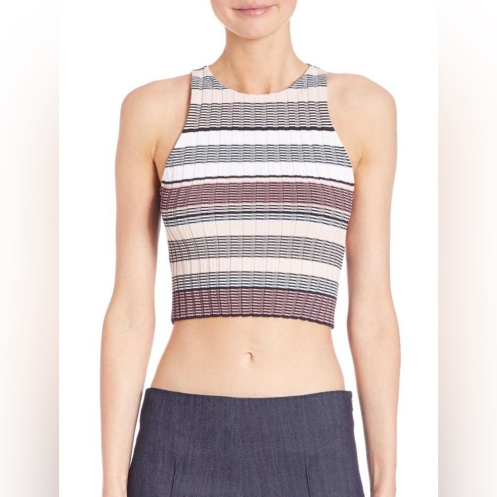 Elizabeth and James Striped Multicolor Racer Back Crop Top - Size S